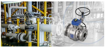 Pigging Valves