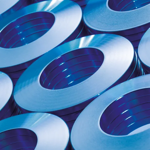 SCHNORR cushion disc springs